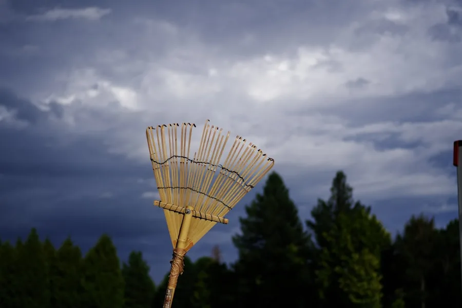 Magic broom