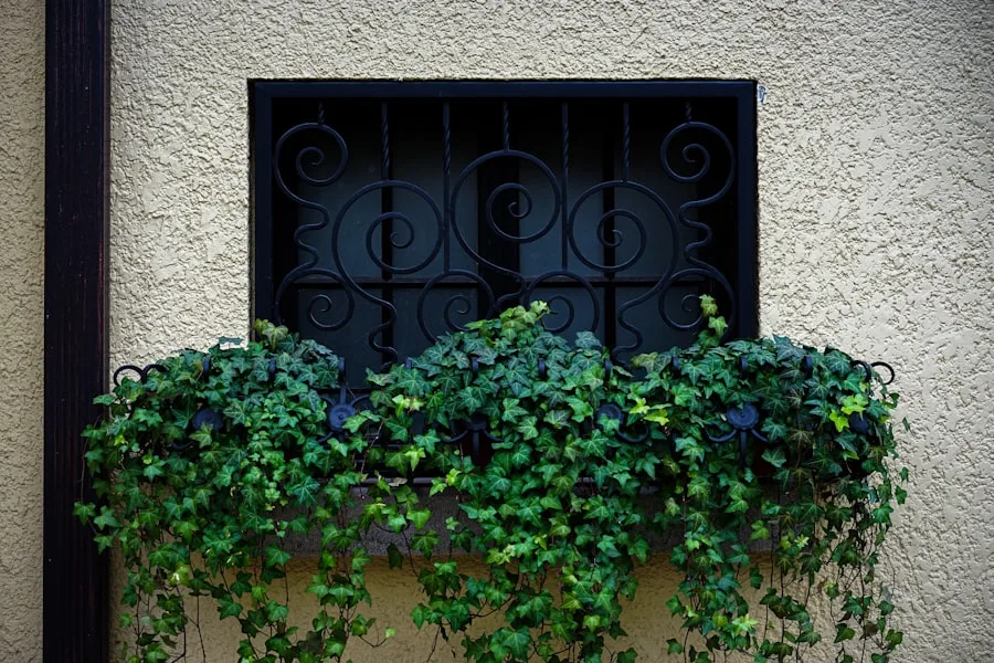 Clean windows