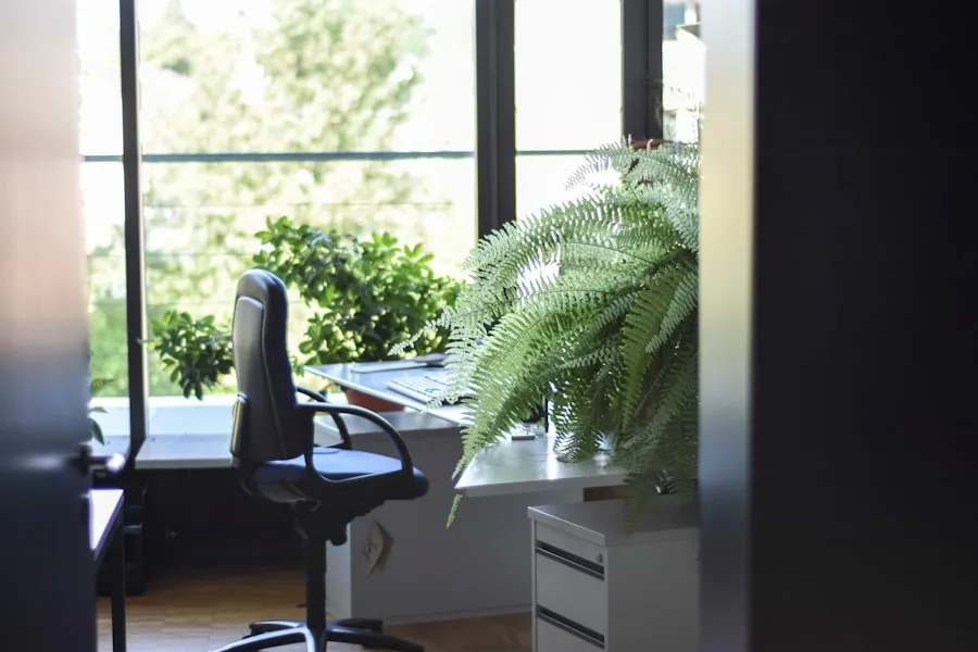 Clean office