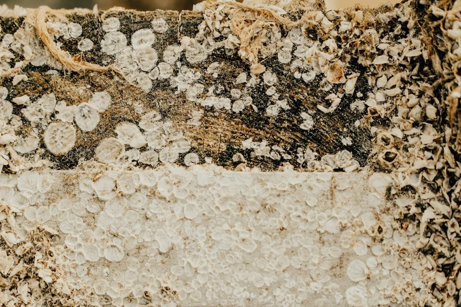 Marmorfliser glans