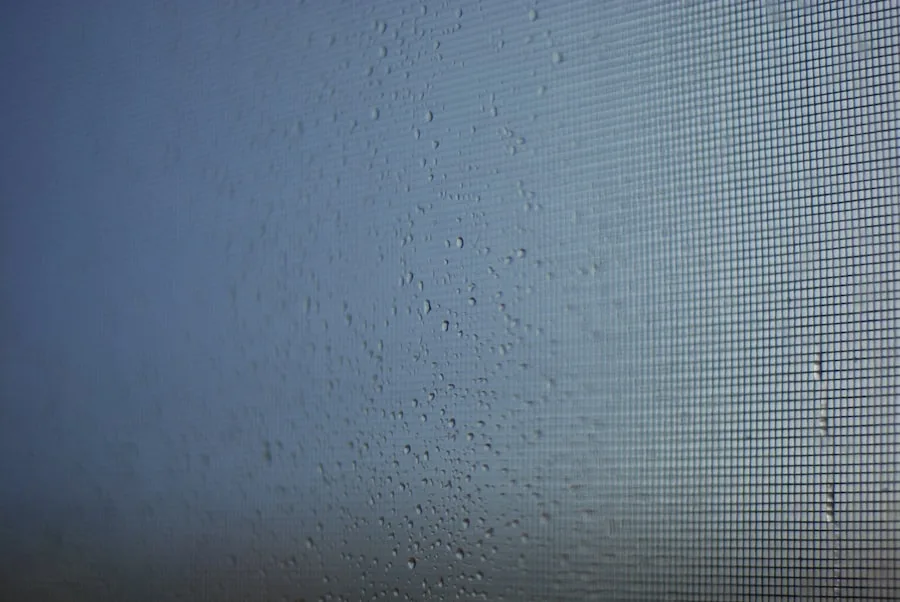 cleaning glass shower wall