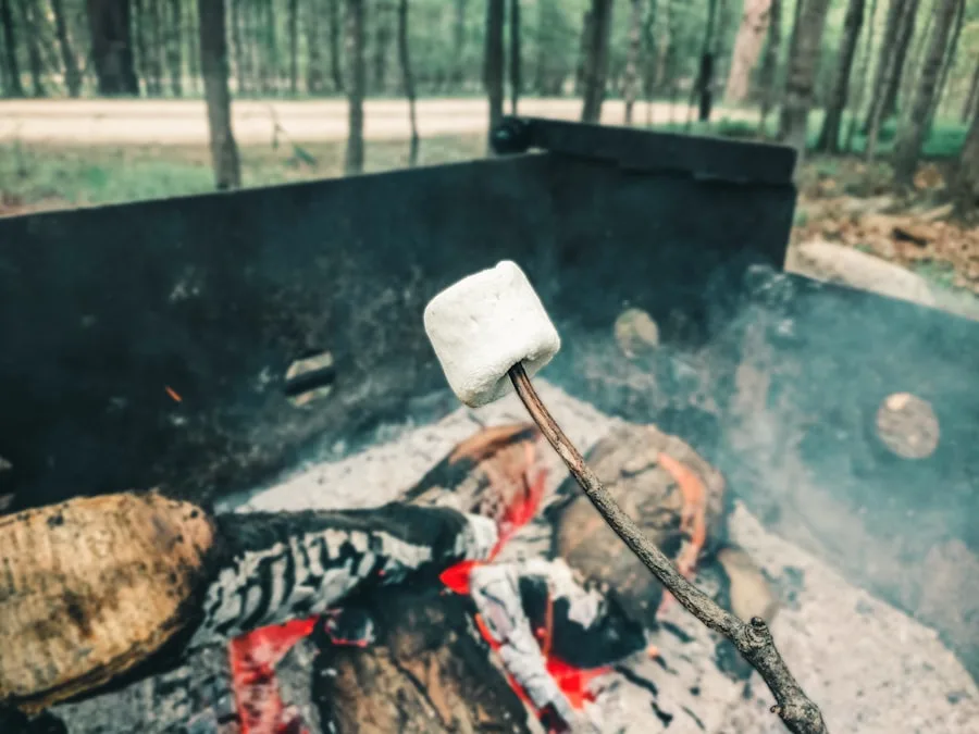 Photo Grill brush
