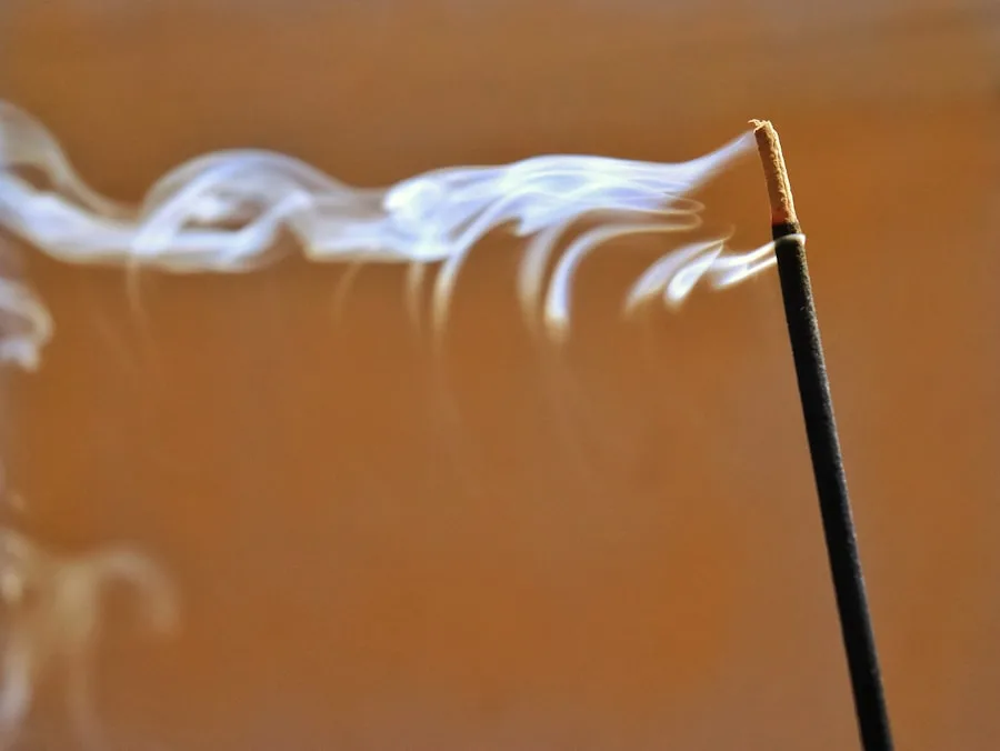 Photo Magic broom