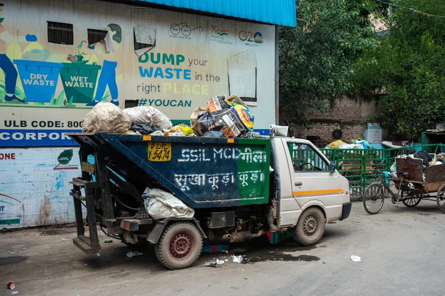 Photo Cleaning + waste removal