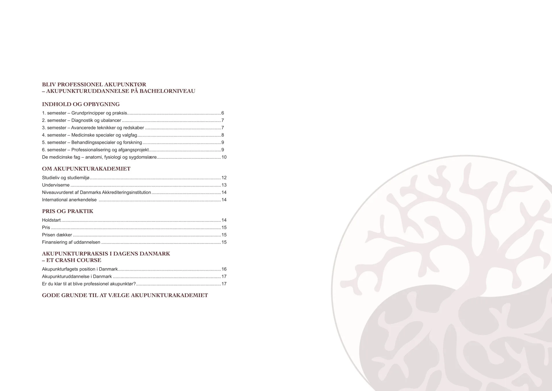 Uddannelsesbrochure_AkupunkturAkademiet_2025 02